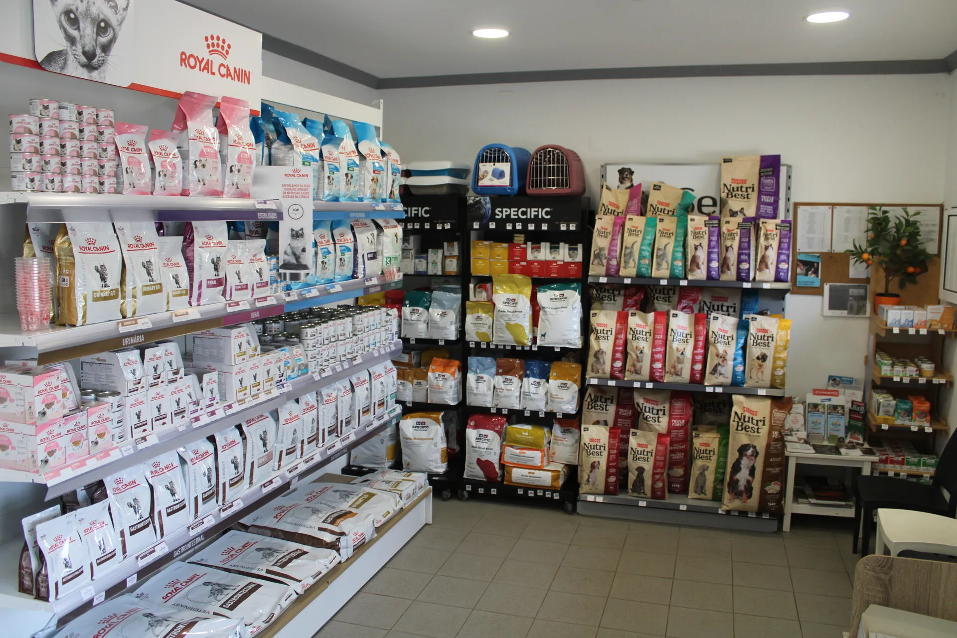 Clínica Vetmessines sala 3