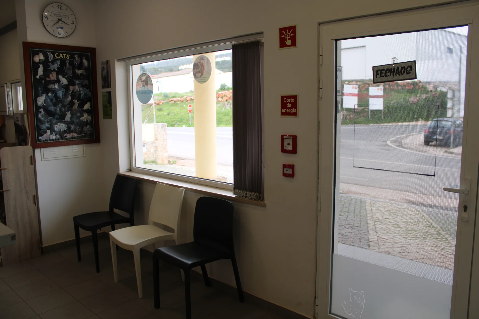 Clínica Vetmessines sala 5